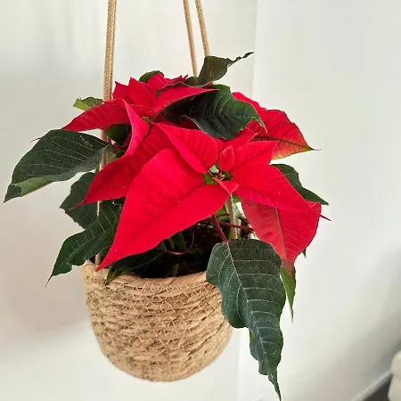 Feel - Casa Di Luce * Bergamo